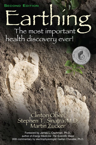 Earthing Book by Clint Ober - download PDF, listen to audio